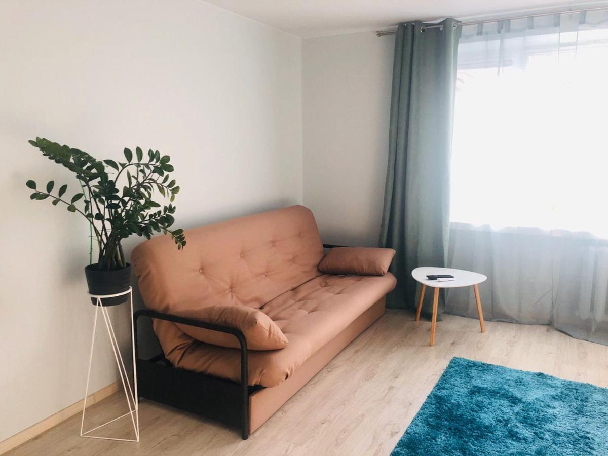 Stylish And Comfortable Apartment In The Center チェルカースィ エクステリア 写真